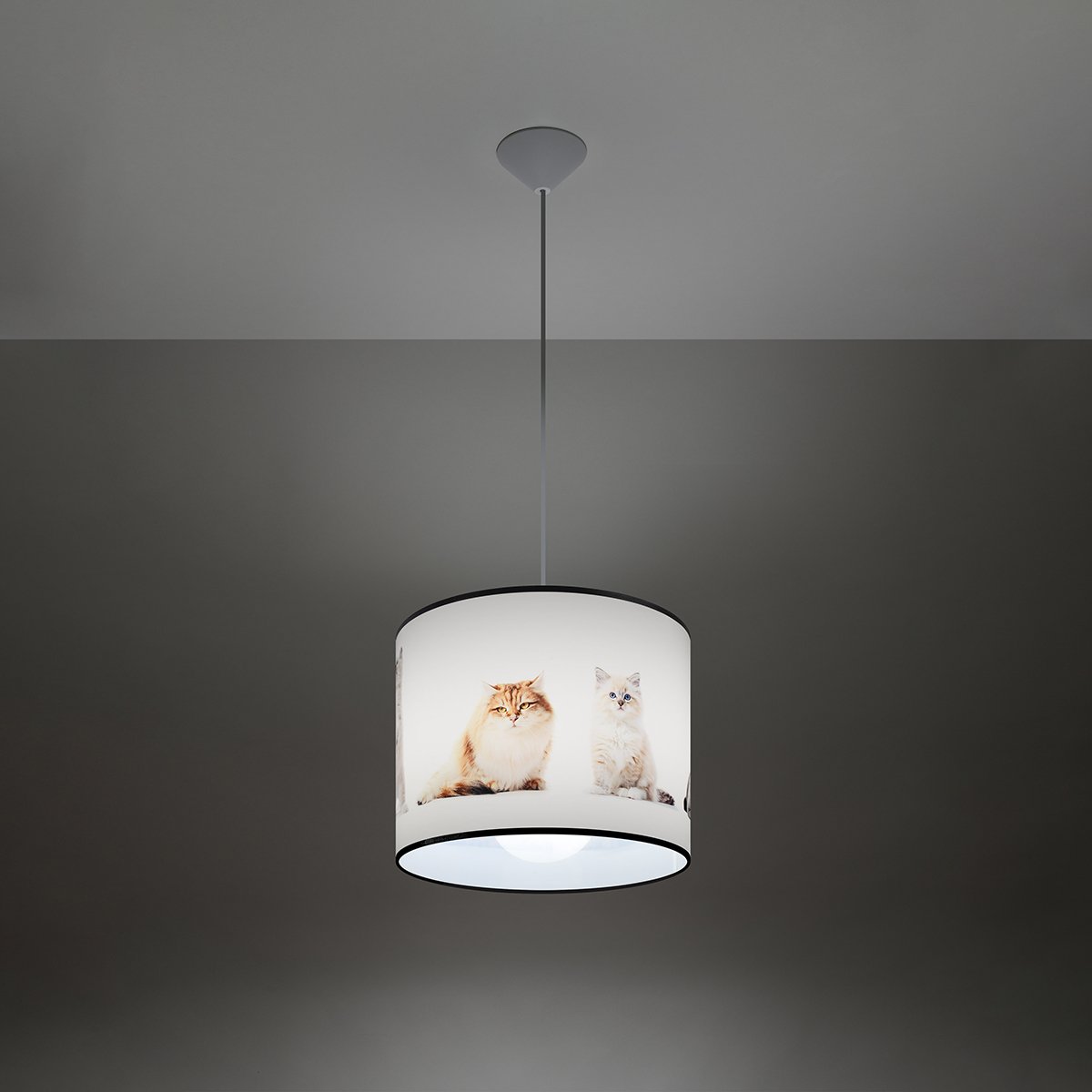 Suspension PVC Multicolore E27 1 Chat 30 multicolore, EDEN