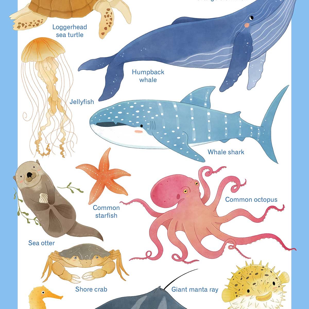 Affiche enfant animaux marins affiche seule, HEXOA