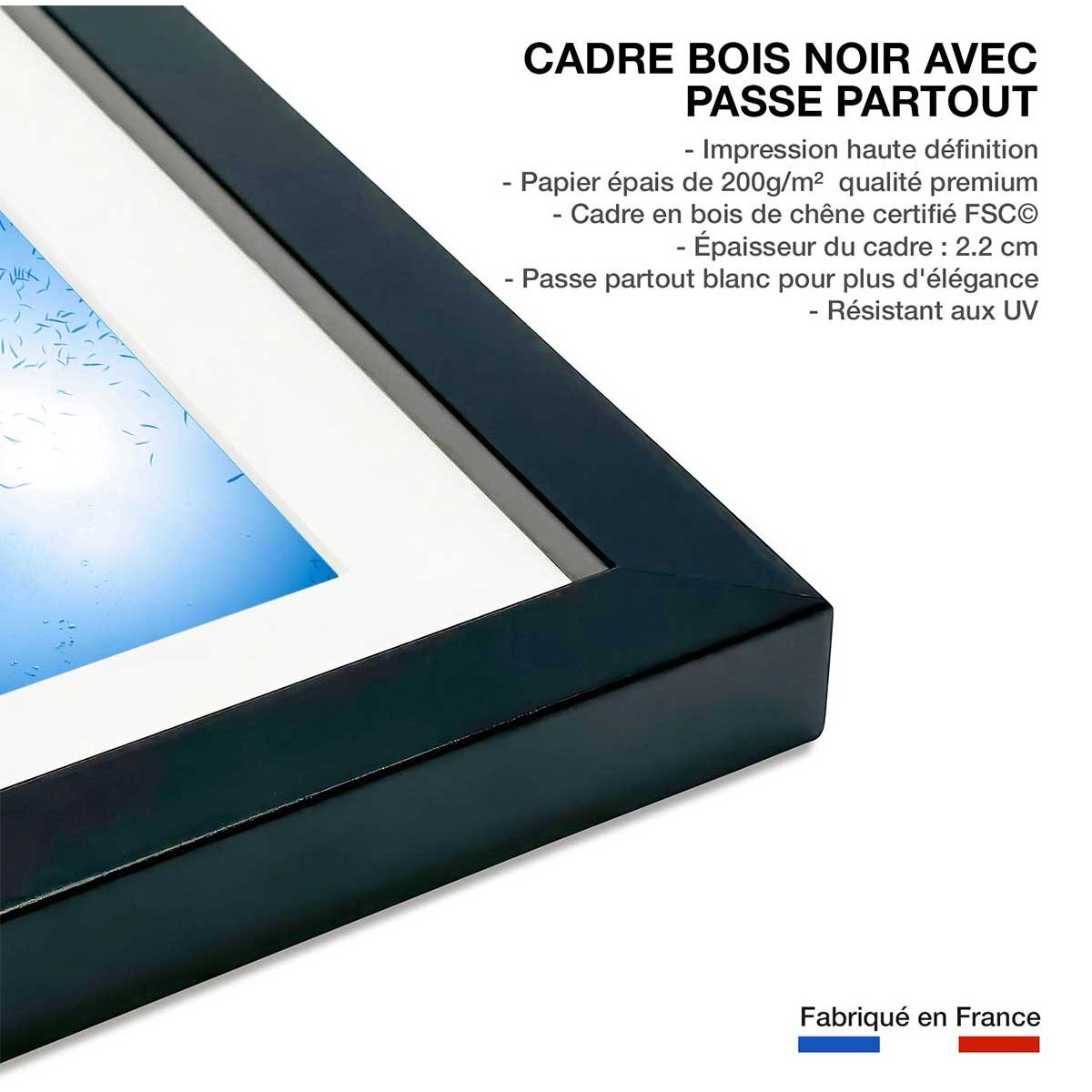 Affiche poisson Carangue affiche + cadre en bois - noir, HEXOA