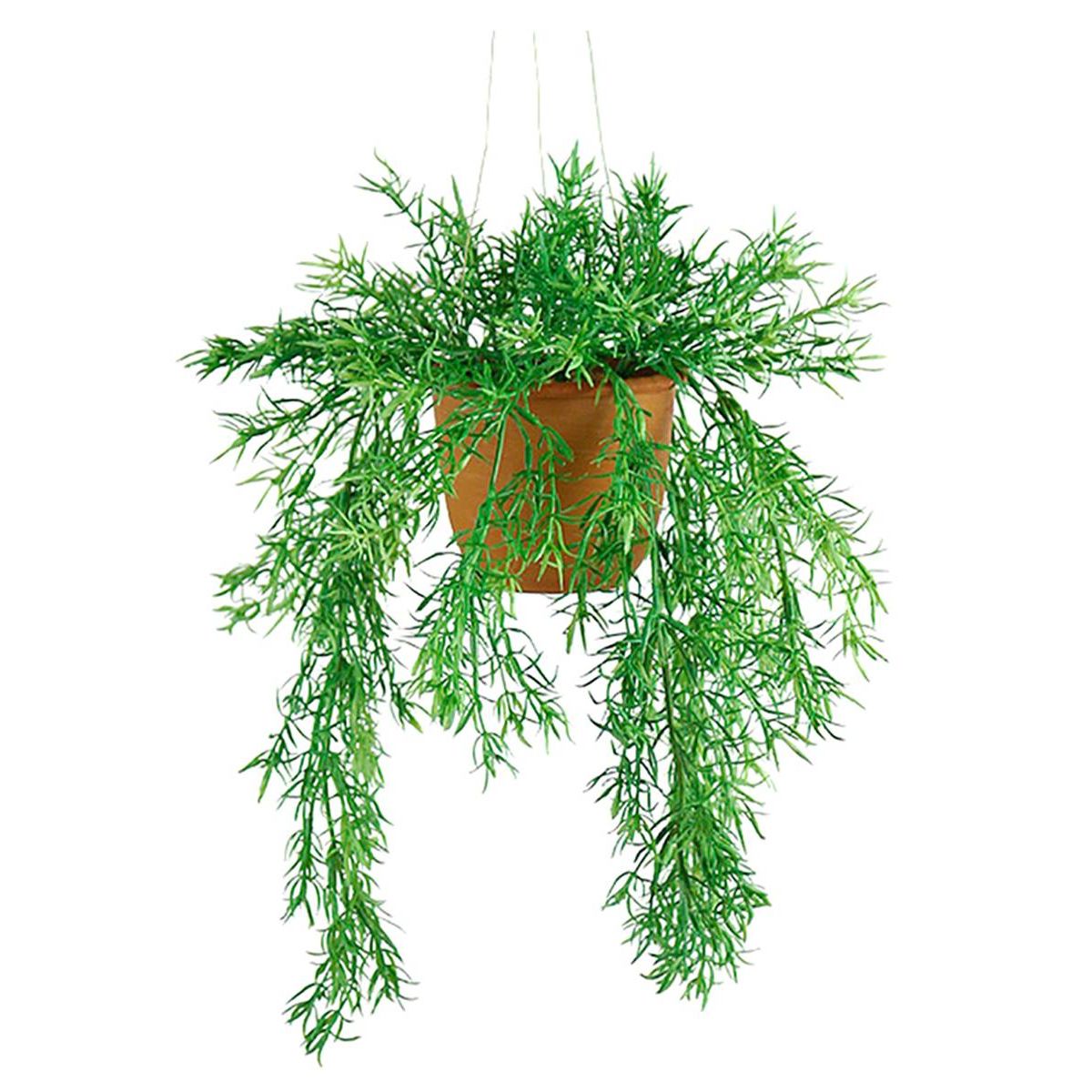 Asparagus artificiel retombant en pot v002239, ARTIFICIELLES