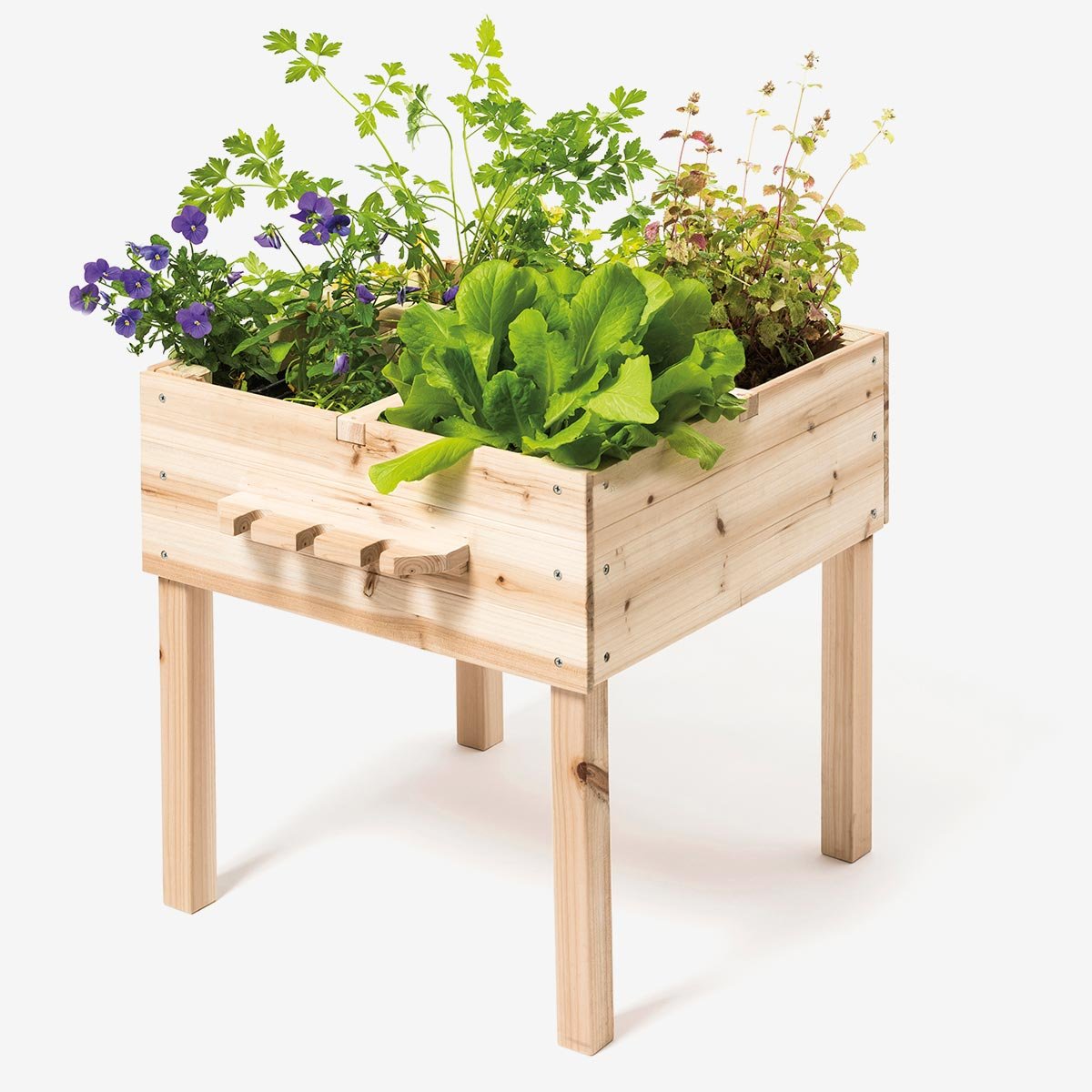 Carré potager en bois blanc, OXYBUL