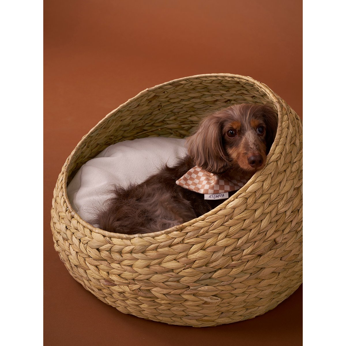 Panier ovale pour chat et chien couleur unique, VERTBAUDET