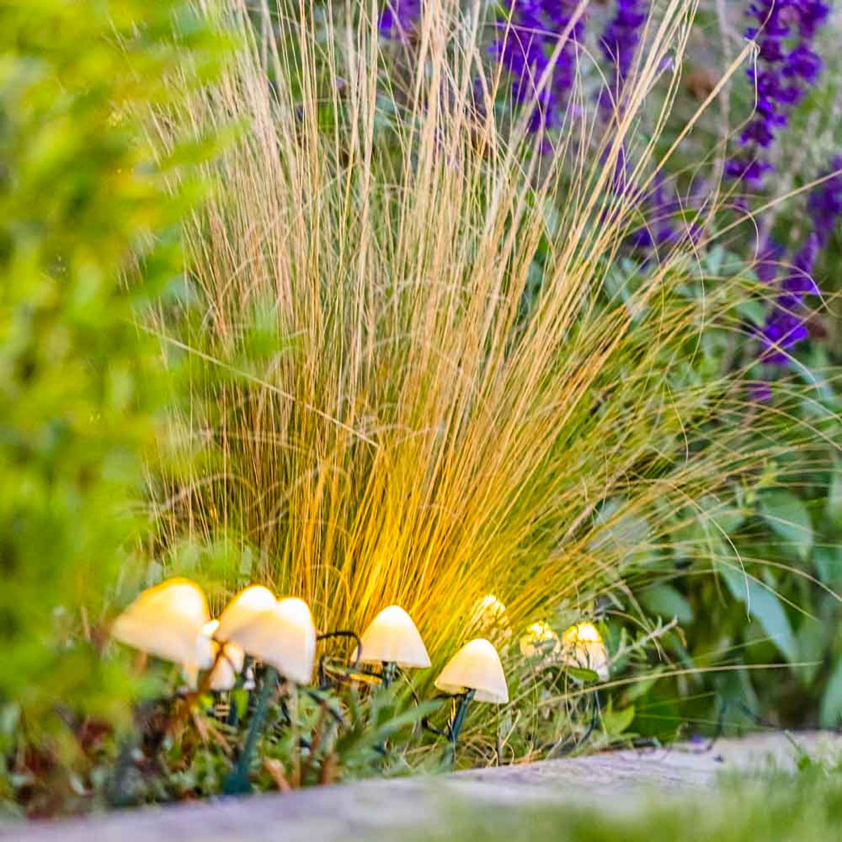 Lot de 10 mini champignons solaires CHAMPY blanc, LUMISKY