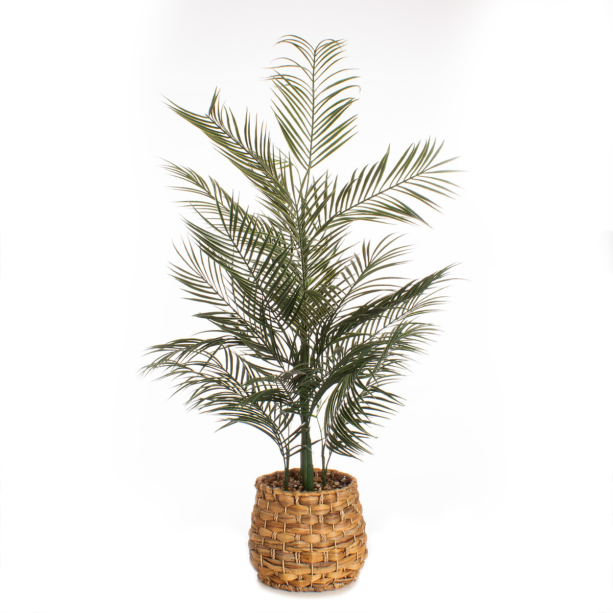 100cm Palm in Basket dark green/light green, SO'HOME