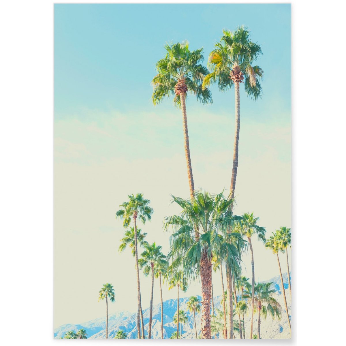 Poster Nature Tropicale 4 blanc, L'AFFICHERIE