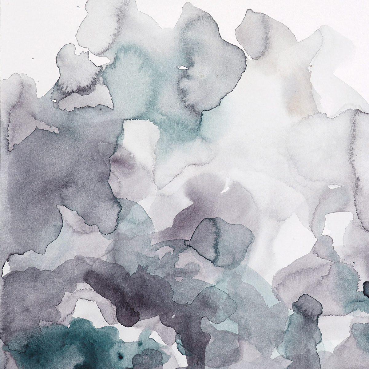 Papier peint panoramique Anémone,  375 x 250cm multicolore, ACTE DECO