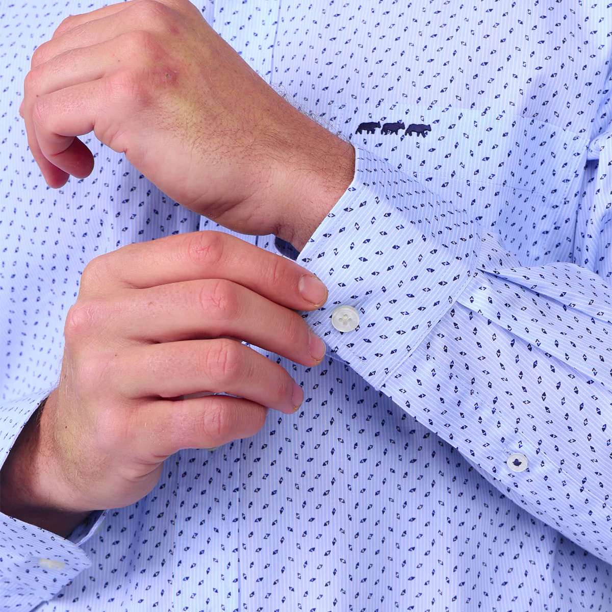 Chemise Easy Care bleu, MISE AU GREEN