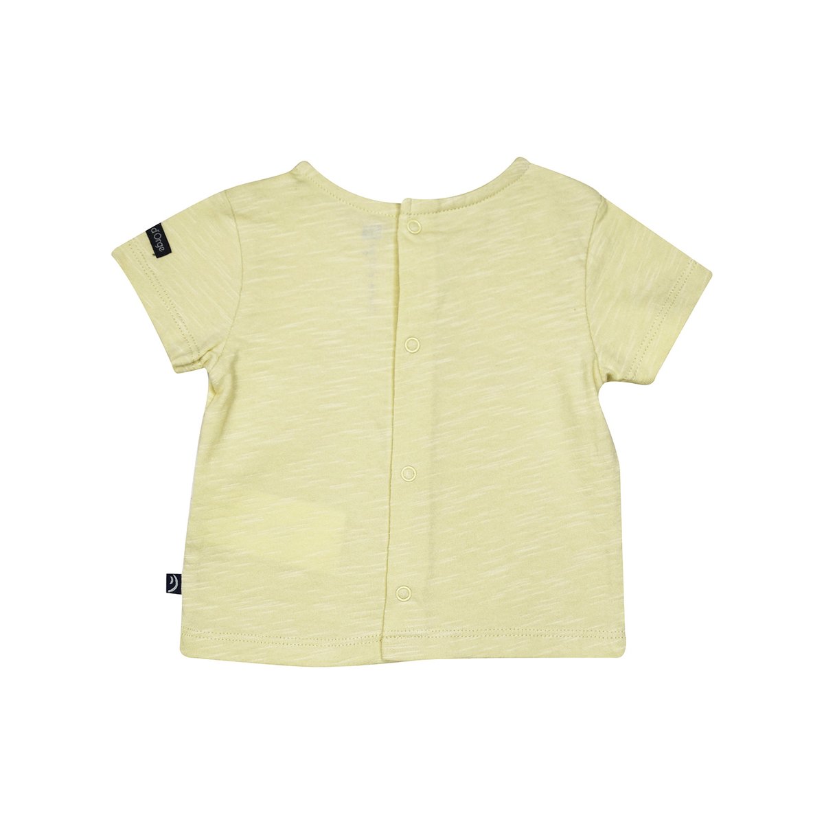 Ensemble t-shirt short rodolphe vert, SUCRE D'ORGE