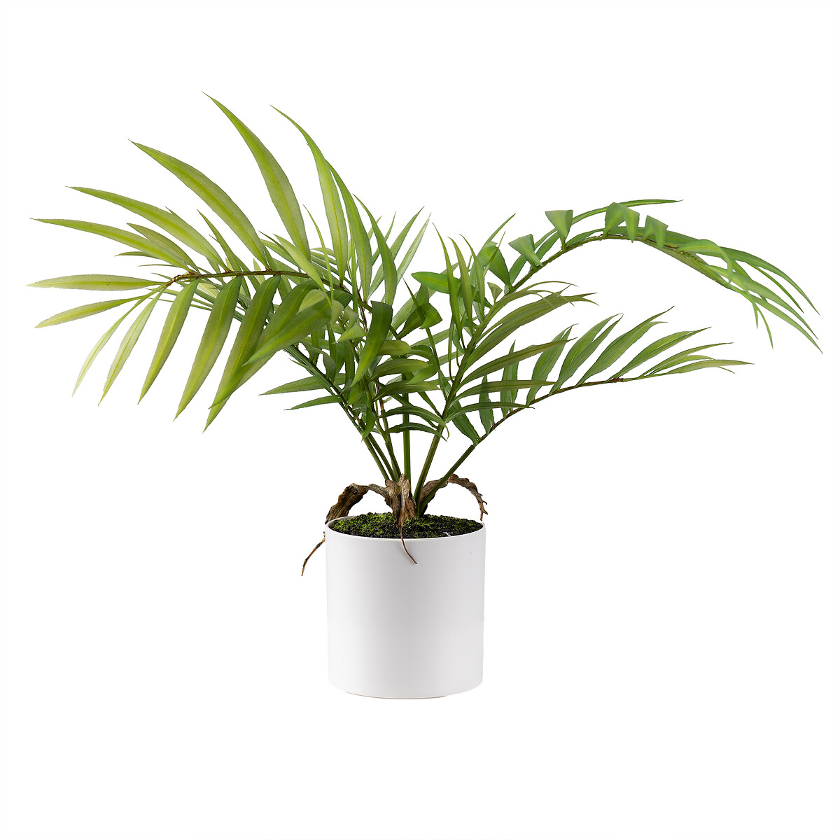 40cm Artificial Fern Tree in Plastic Pot green, SO'HOME