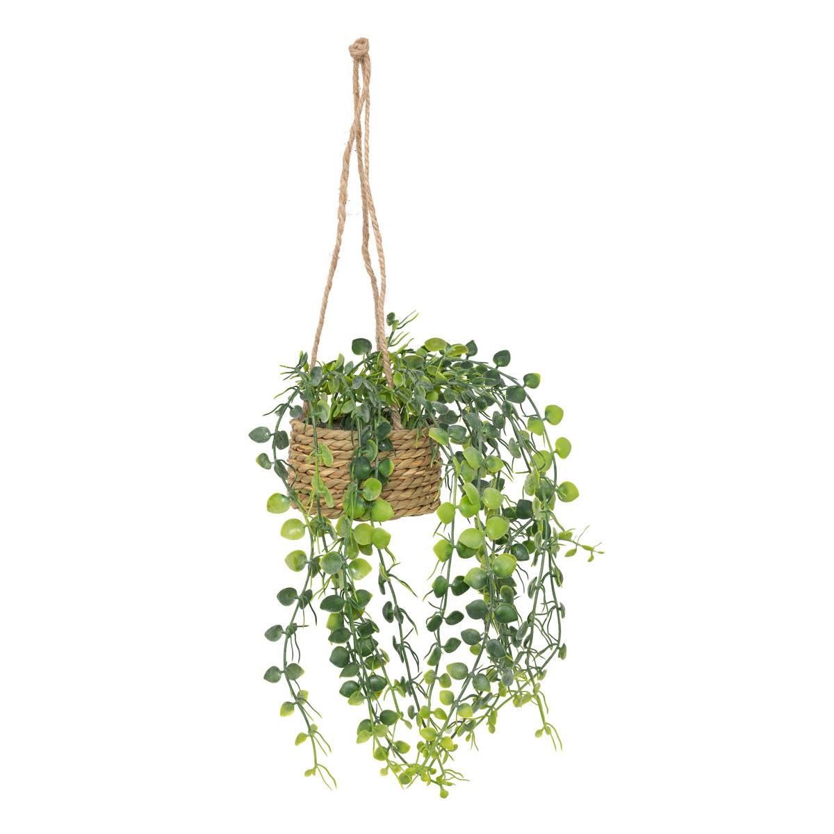 Plante artificielle suspendue PATRI noir, ATMOSPHERA