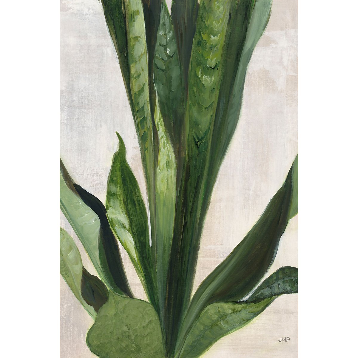 Tableau Sanseveria aquarelle tableau alu dibond, HEXOA