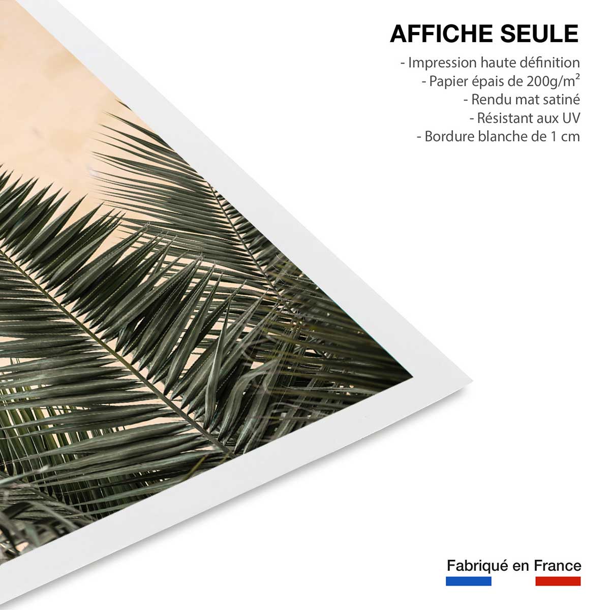 Poster sandy palme affiche seule, HEXOA