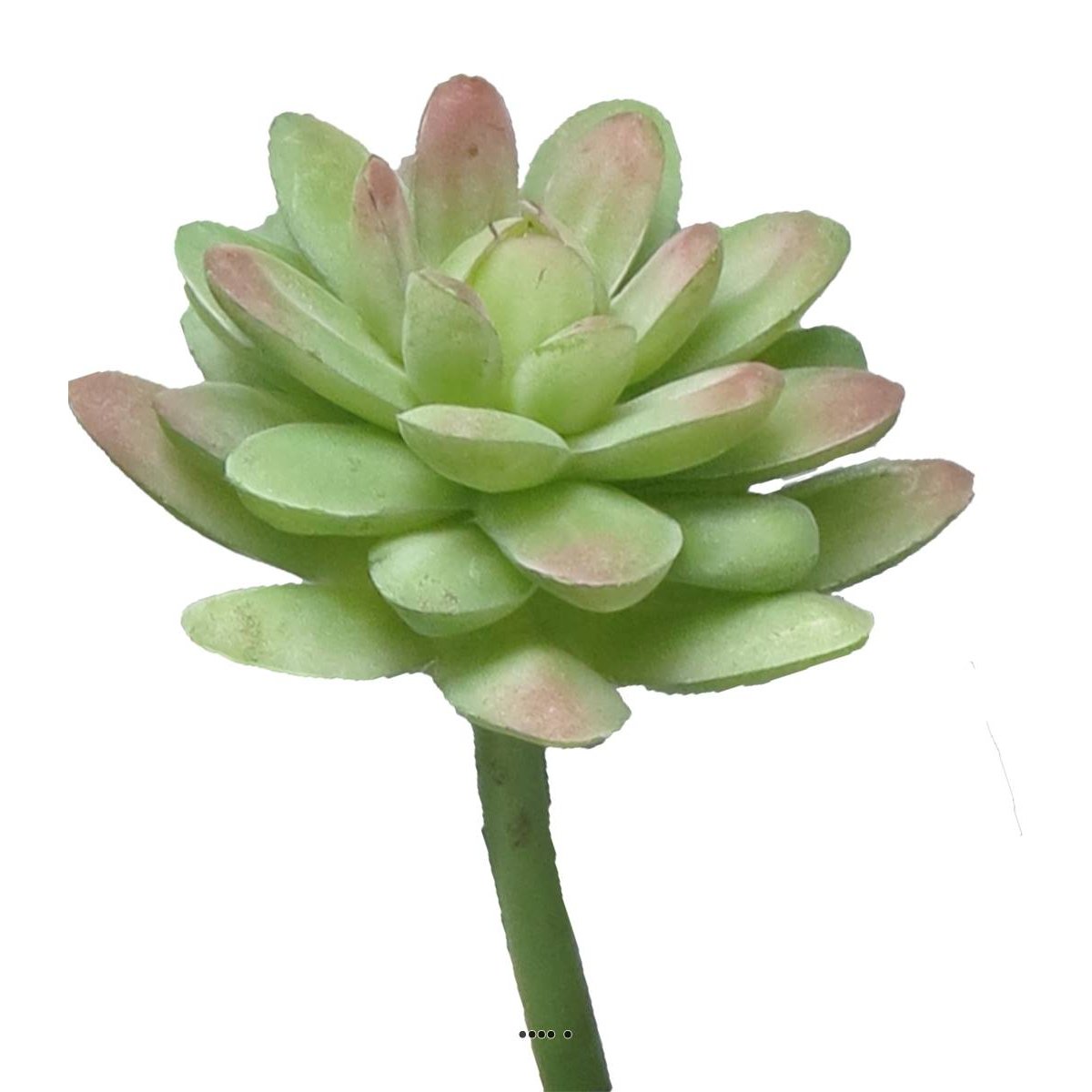 Echeveria elegans factice en piquet, H16c vert-rouge, ARTIFICIELLES