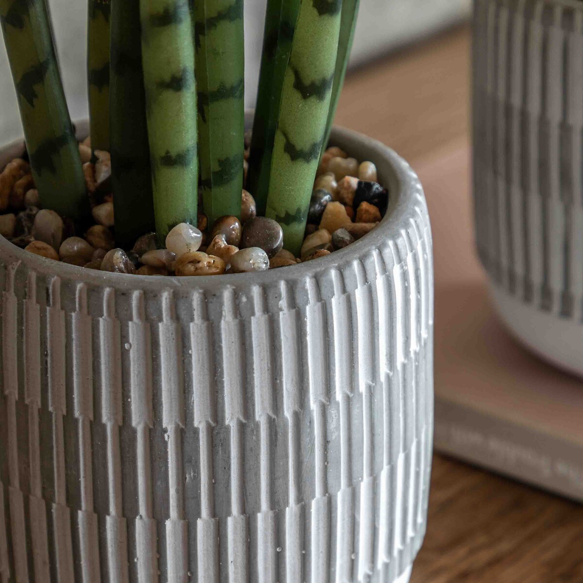 Set of 2 Small Succulents in Ceramic Pots natural, ÉDITÉ