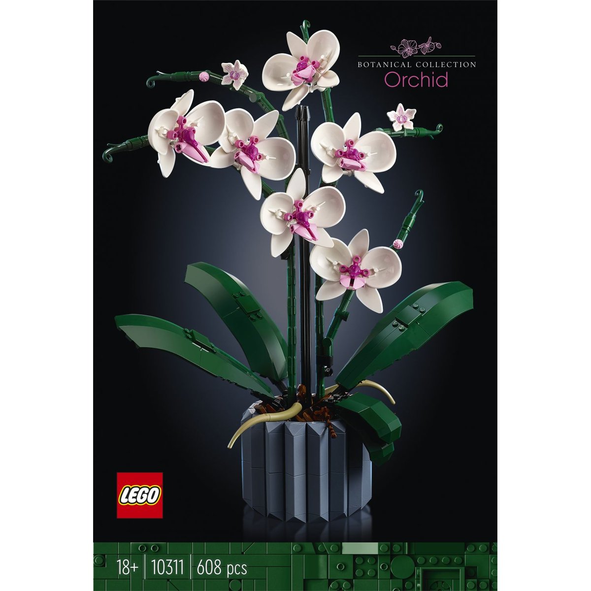 LEGO Botanicals - LEGO Creator - L'orchidée - 10311 blanc, rose, bleu, marron, LEGO