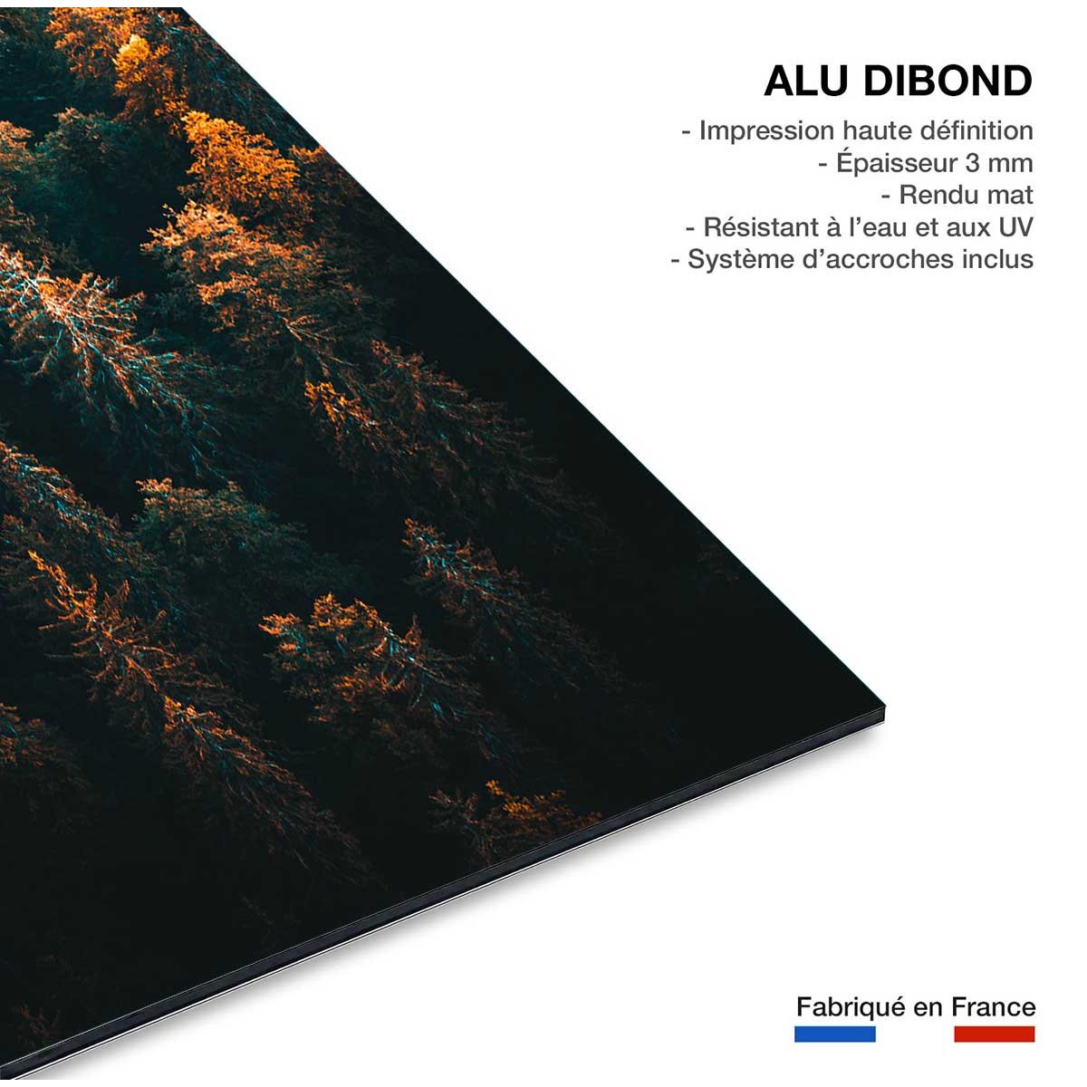Tableau couleur d'automne en haute savoie tableau alu dibond, HEXOA