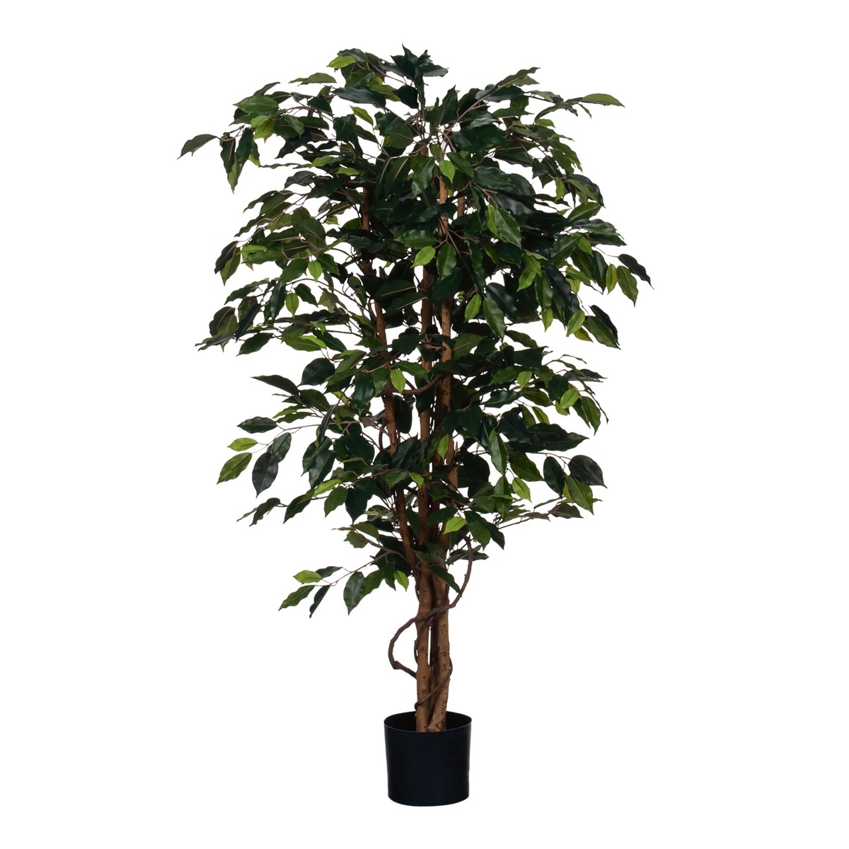 Plante artificielle FICUS vert, MICA DECORATIONS
