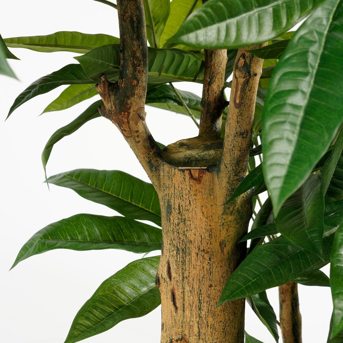 Plante artificielle PACHIRA vert, MICA DECORATIONS