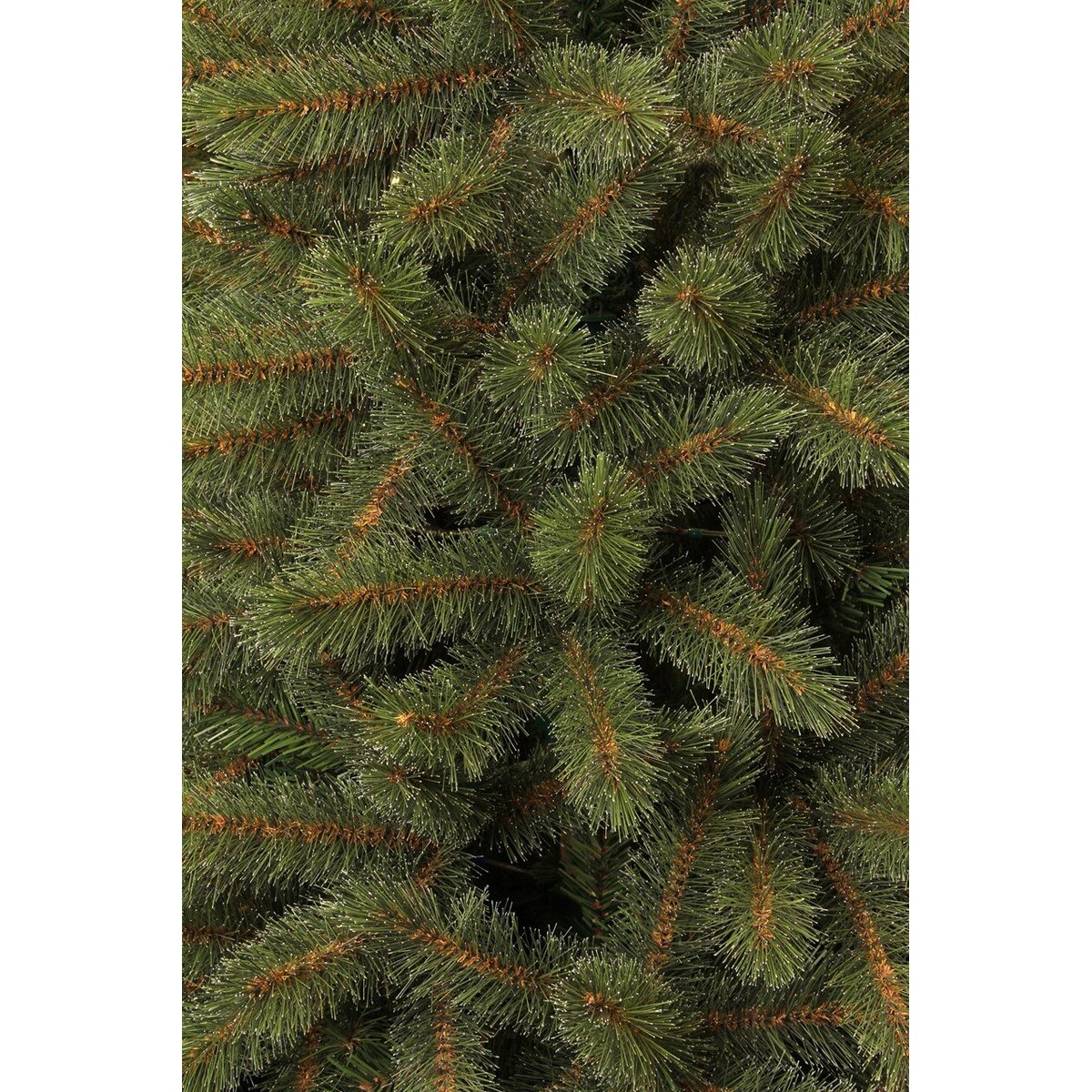 Sapin de Noël H185 cm TORONTO vert, BLACK BOX TREES