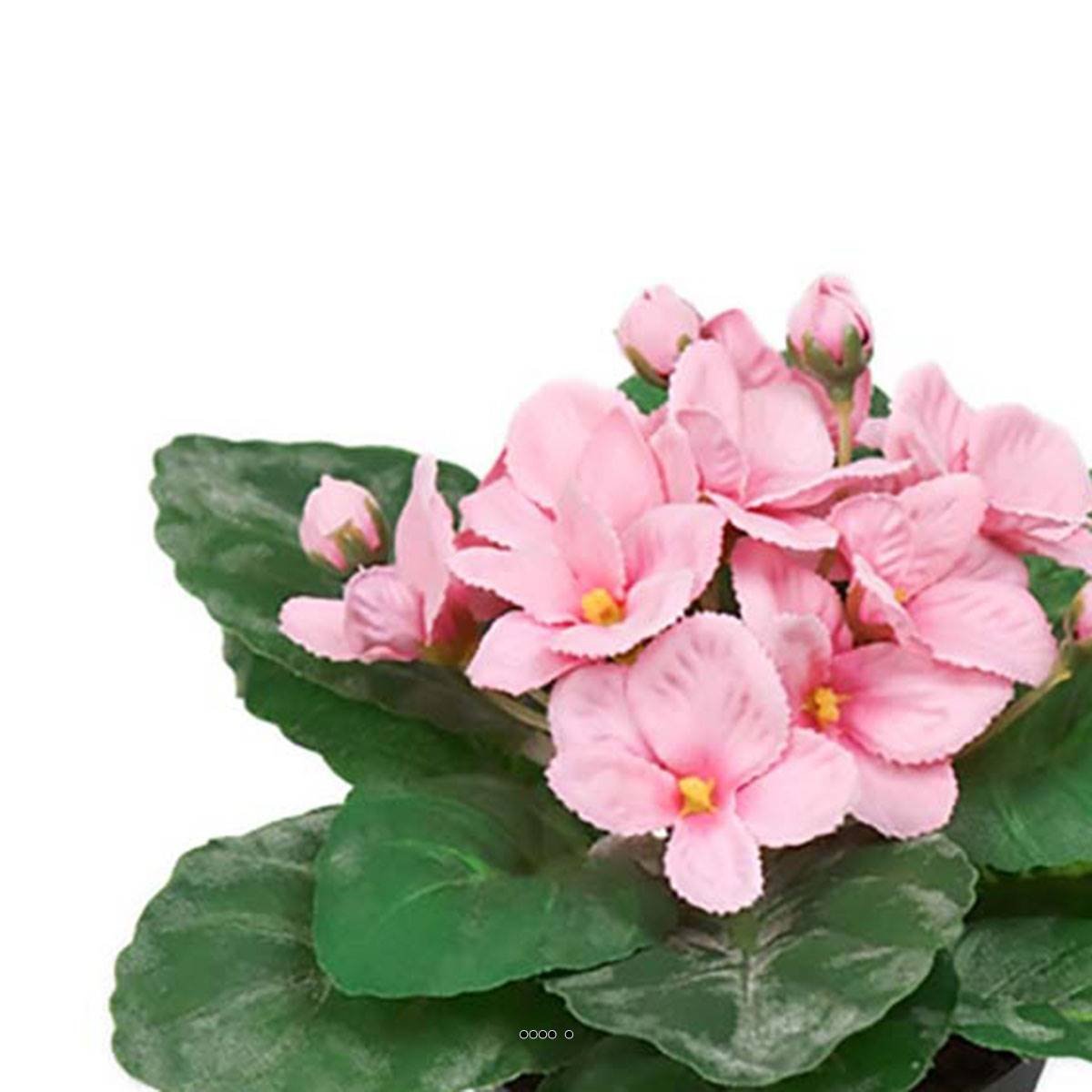 Saint Paulia artificiel en pot H 16 cm rose, ARTIFICIELLES