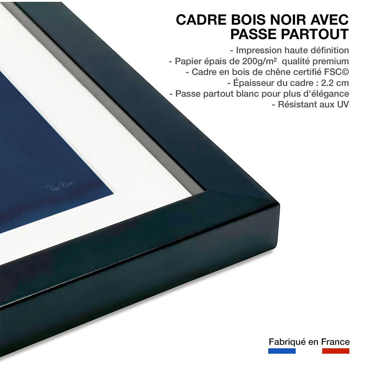Affiche Duo fougères bleues affiche + cadre en bois - noir, HEXOA