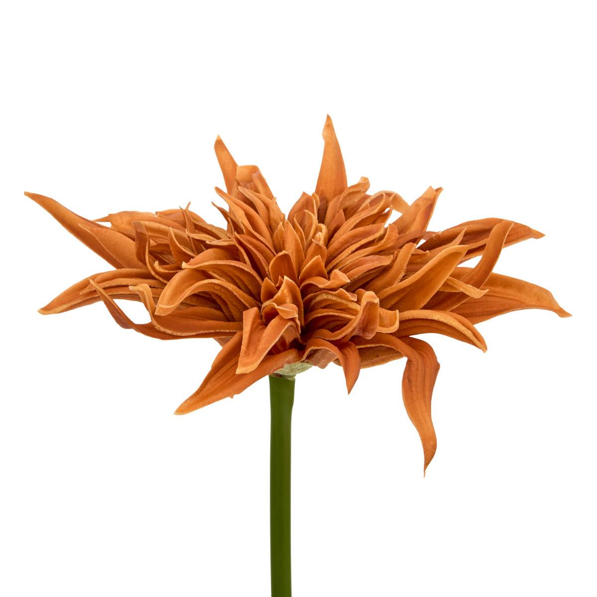 Tige décorative Homy H.55cm modèle b, ATMOSPHERA