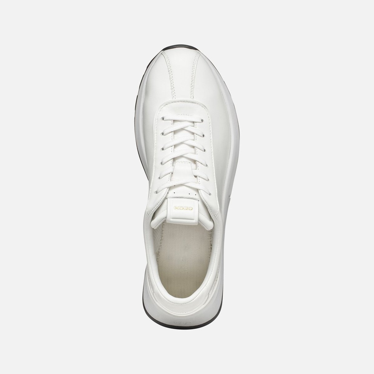 Baskets  U METROPOLI blanc, GEOX