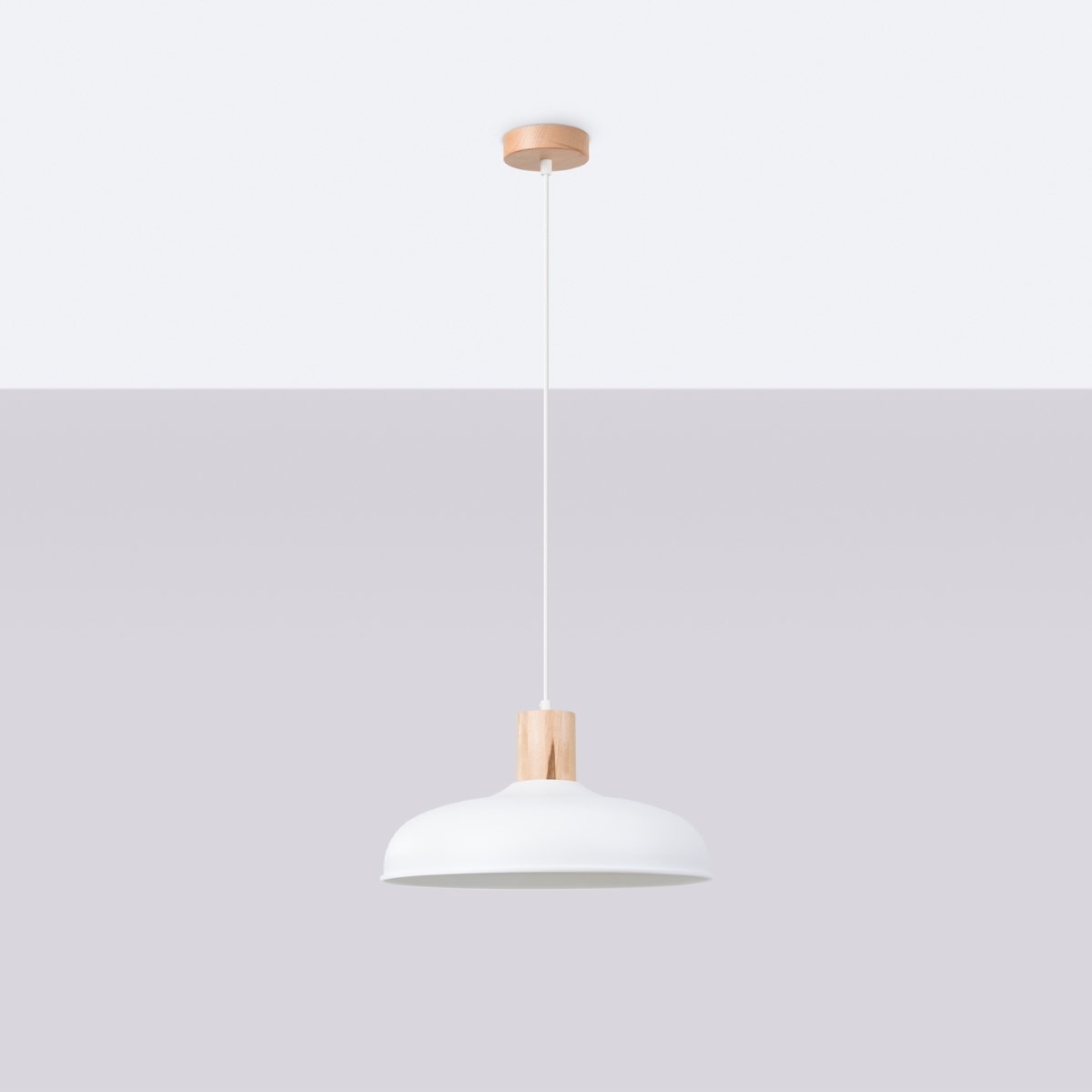 Suspension Acier Blanc E27 1 Indy blanc, EDEN