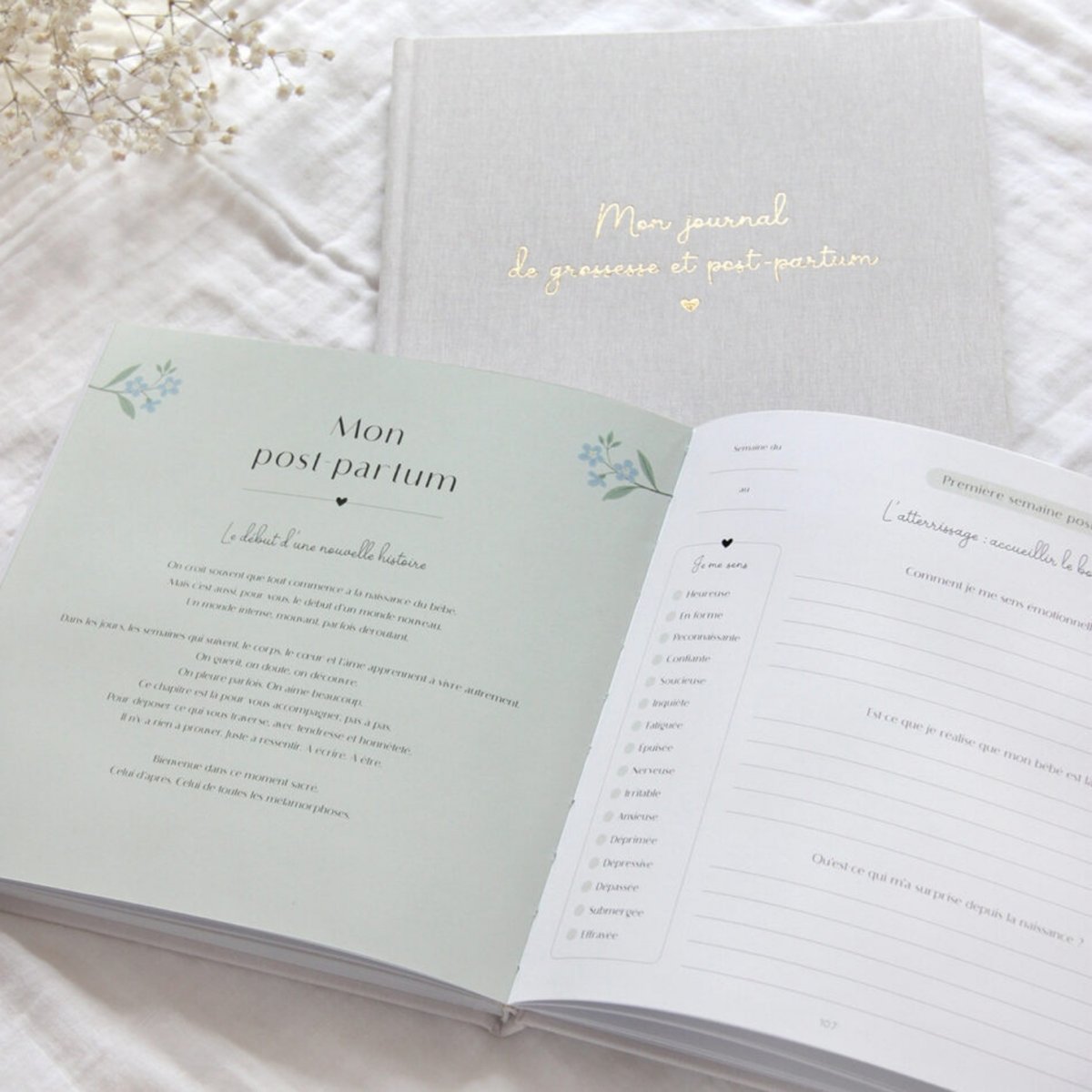 Journal de grossesse et post-partum beige, ZÜ