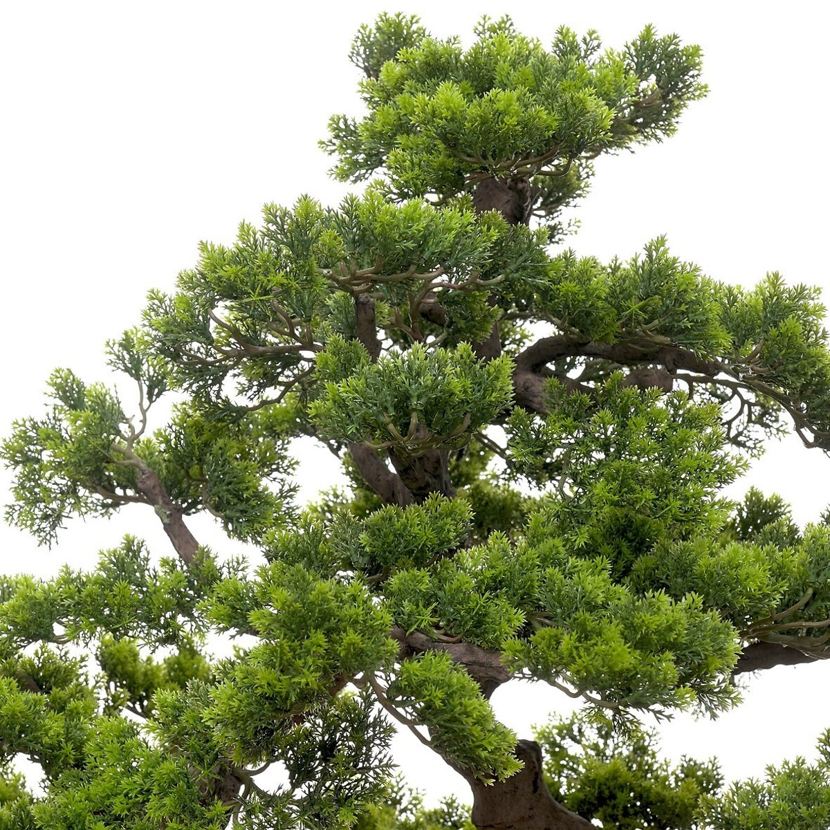 Planta artificial "Bonsai Cipres" 95cm, BORGHESI verde, BORGHESI