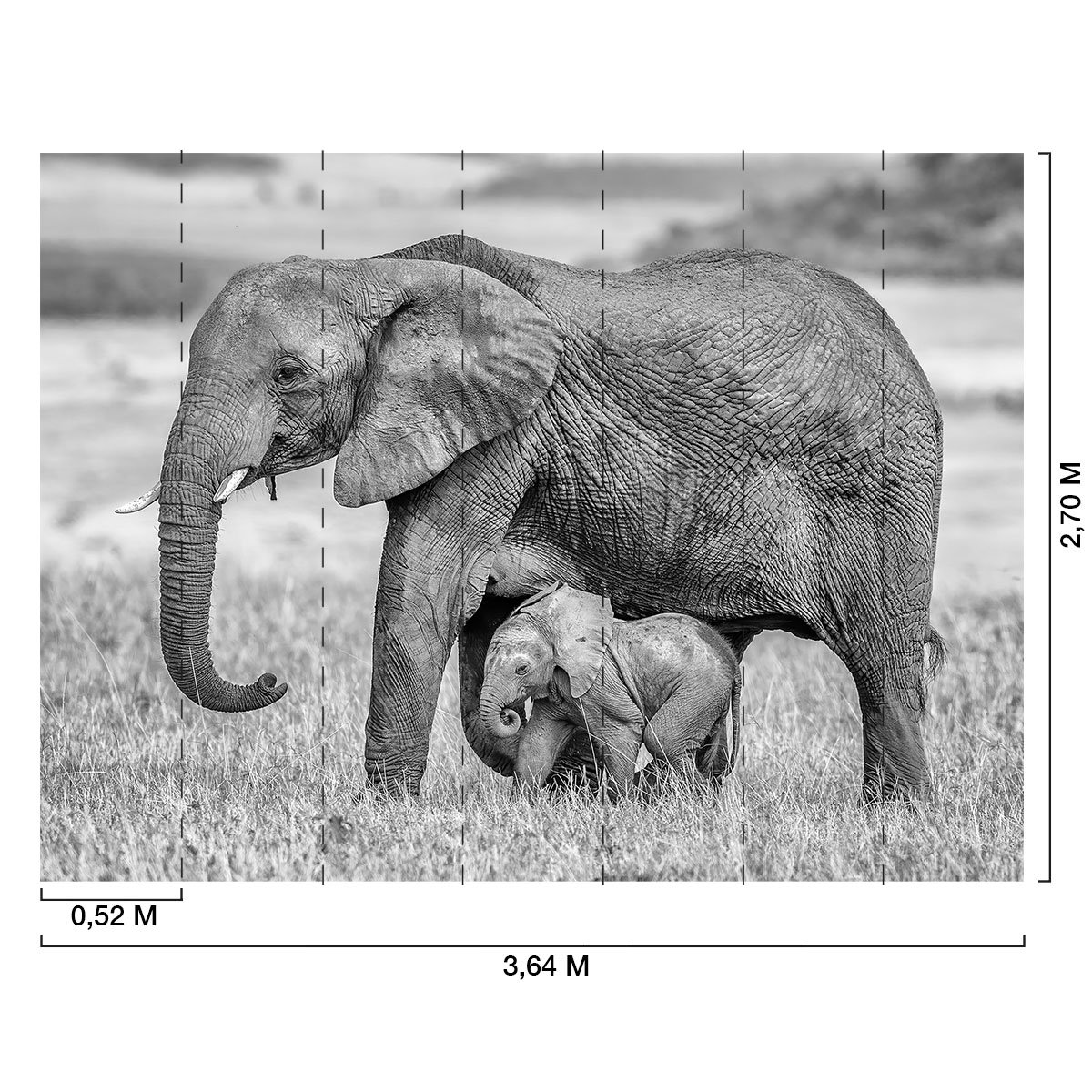 Papier peint éléphant et son petit intissé, HEXOA