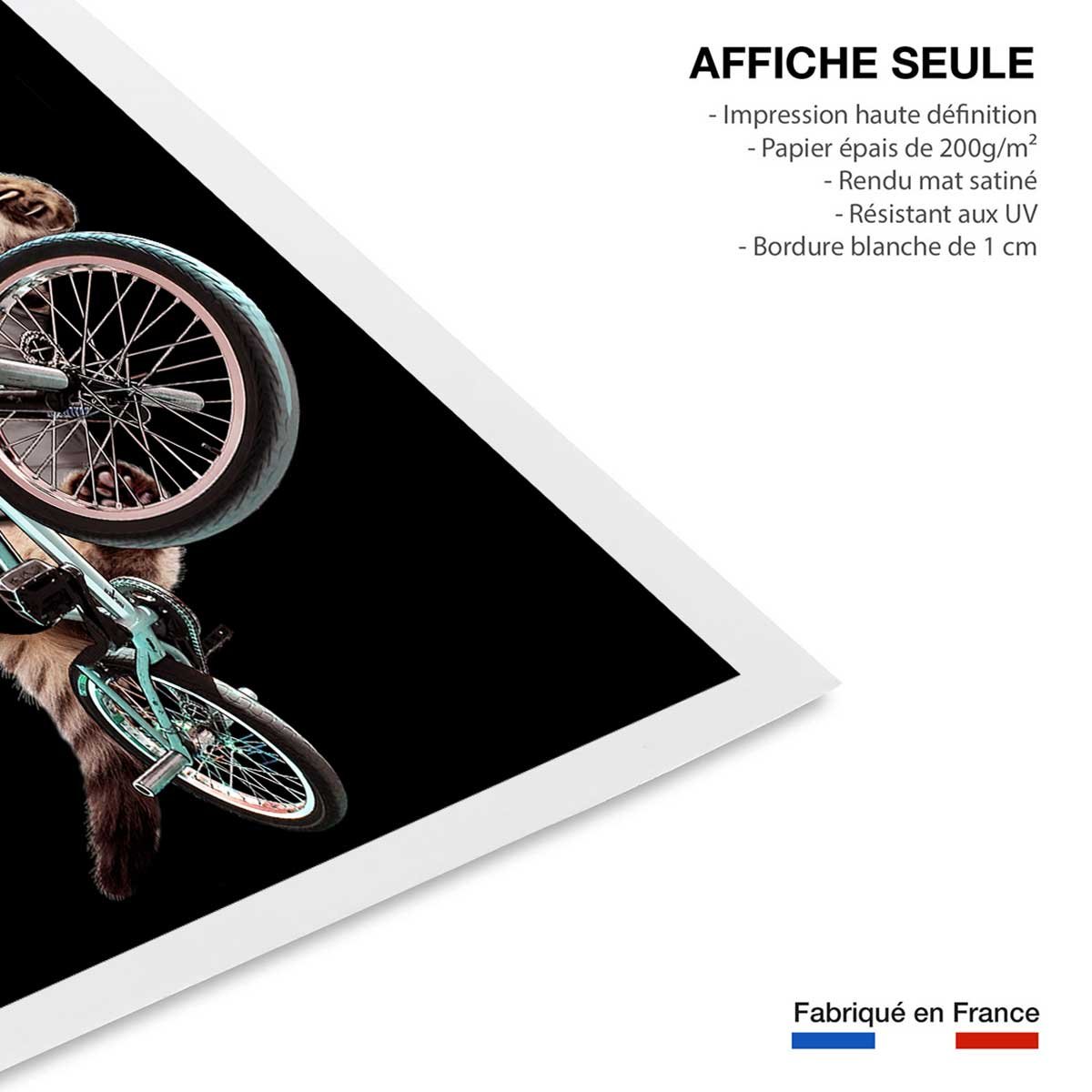 Affiche enfant bmx chat affiche seule, HEXOA