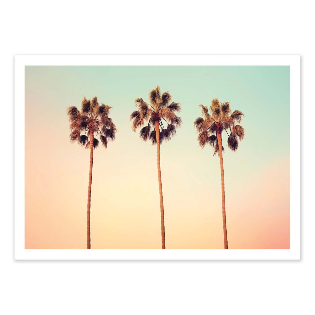Affiche d'art - California Hollywood Palms - Philippe Hugonnard couleur unique, WALL EDITIONS
