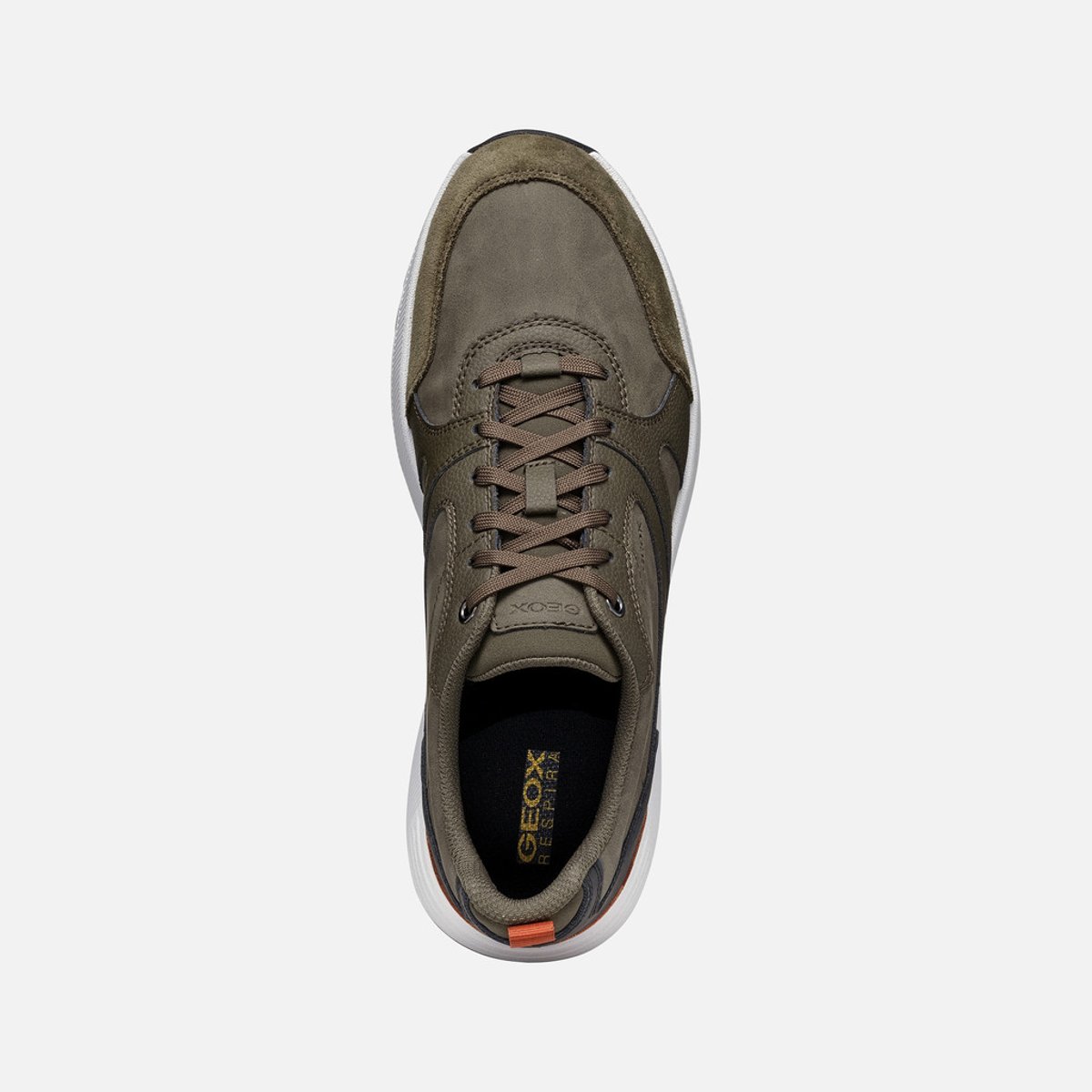 Baskets U MOLVENO vert militaire, GEOX
