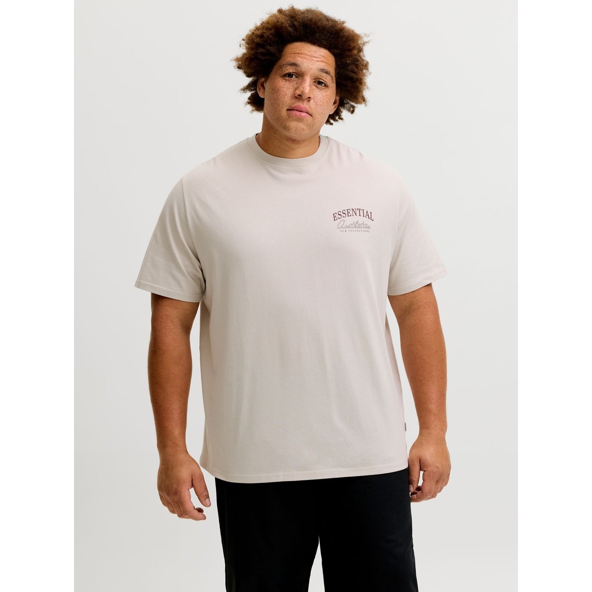 T-Shirt moonbeam, JACK & JONES