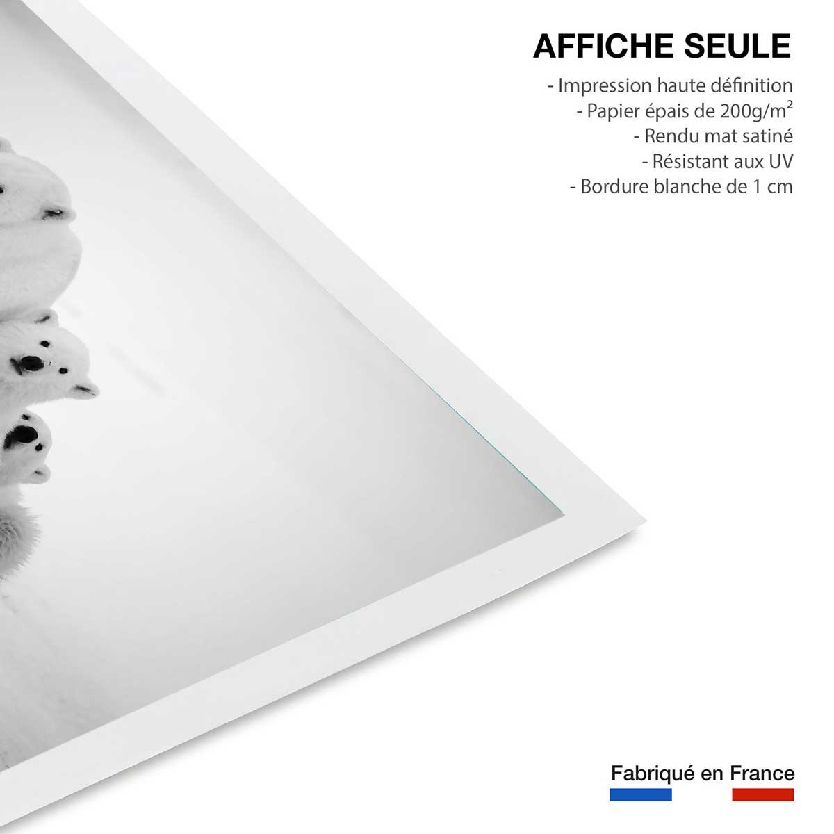 Affiche animaux family polar bear affiche seule, HEXOA