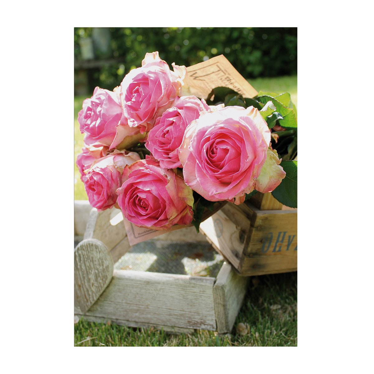 Tableau de jardin Bouquet de roses rose, gris, ART FOR THE HOME