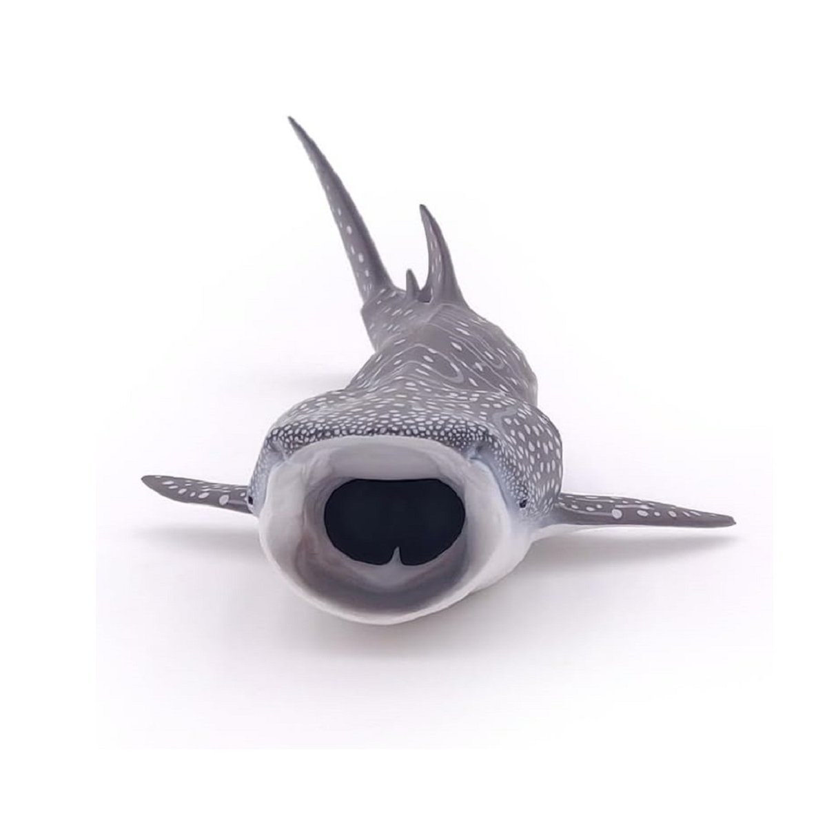 Figurine Requin baleine gris, PAPO