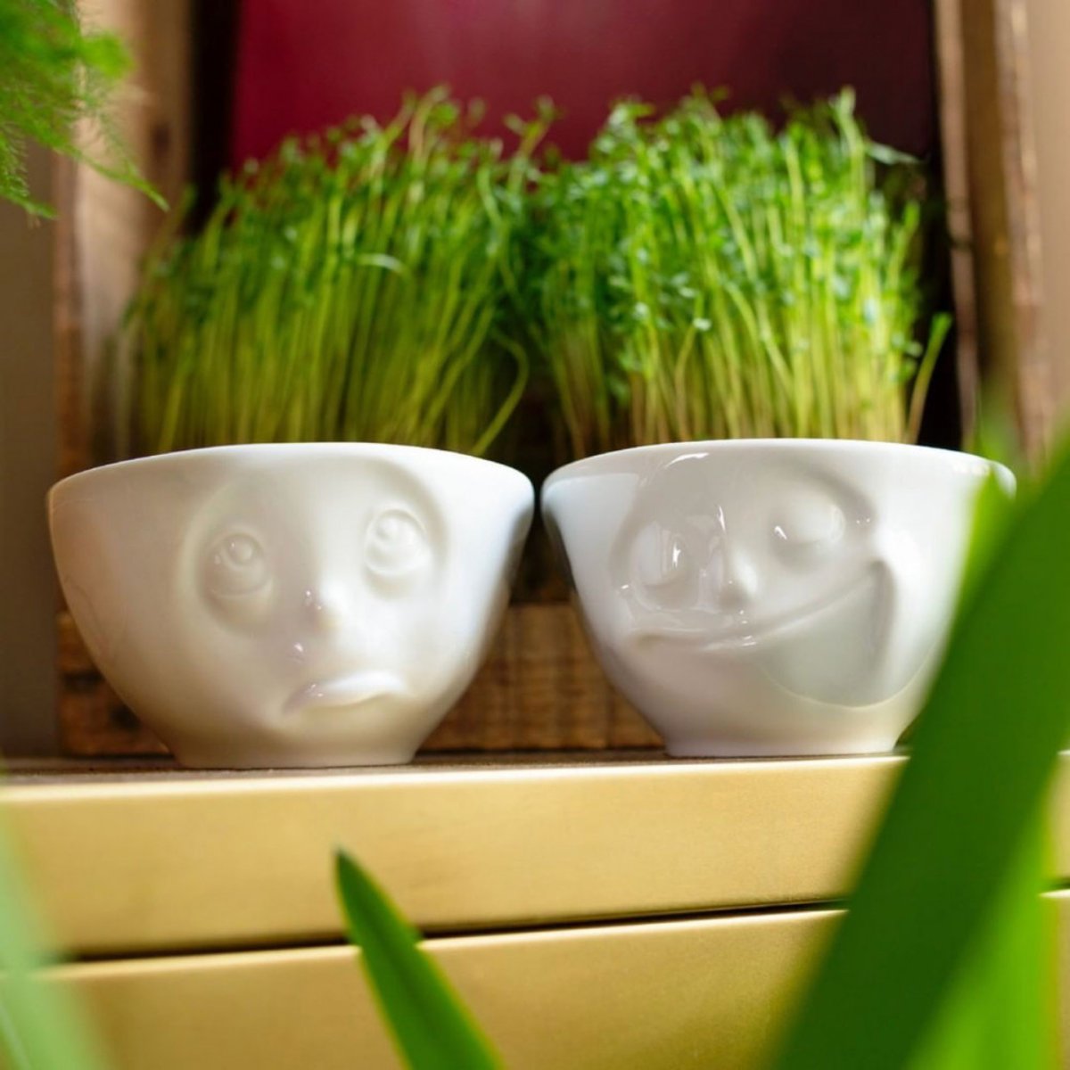 Set de 2 bols en porcelaine Emotion Set délicieux - somnolent, TASSEN