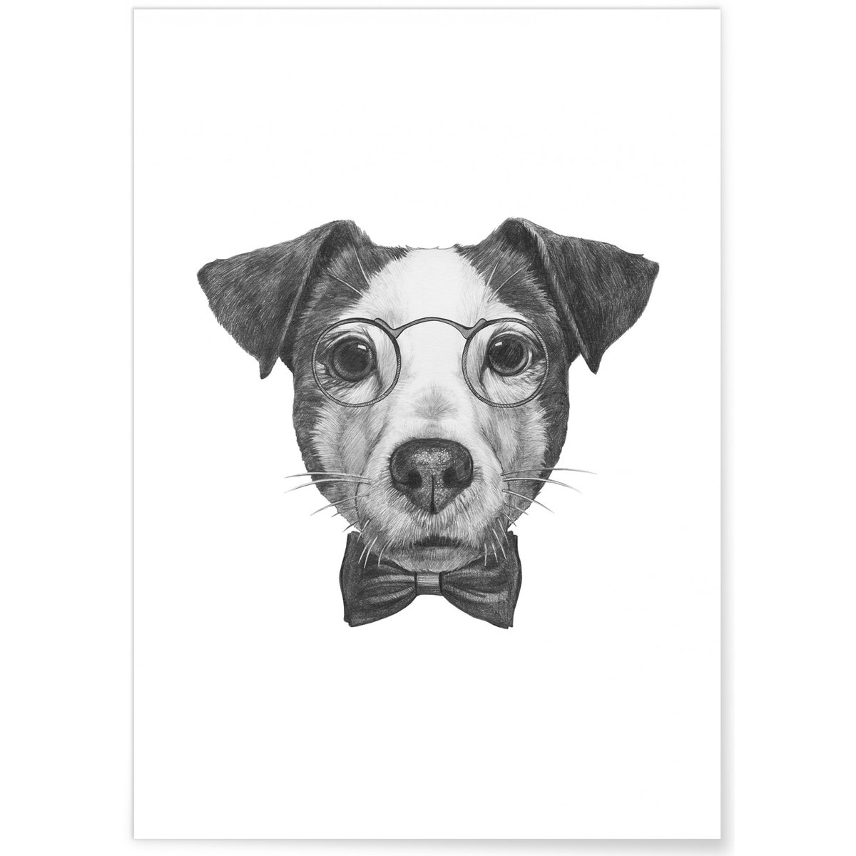 Poster Jack Russell blanc, L'AFFICHERIE