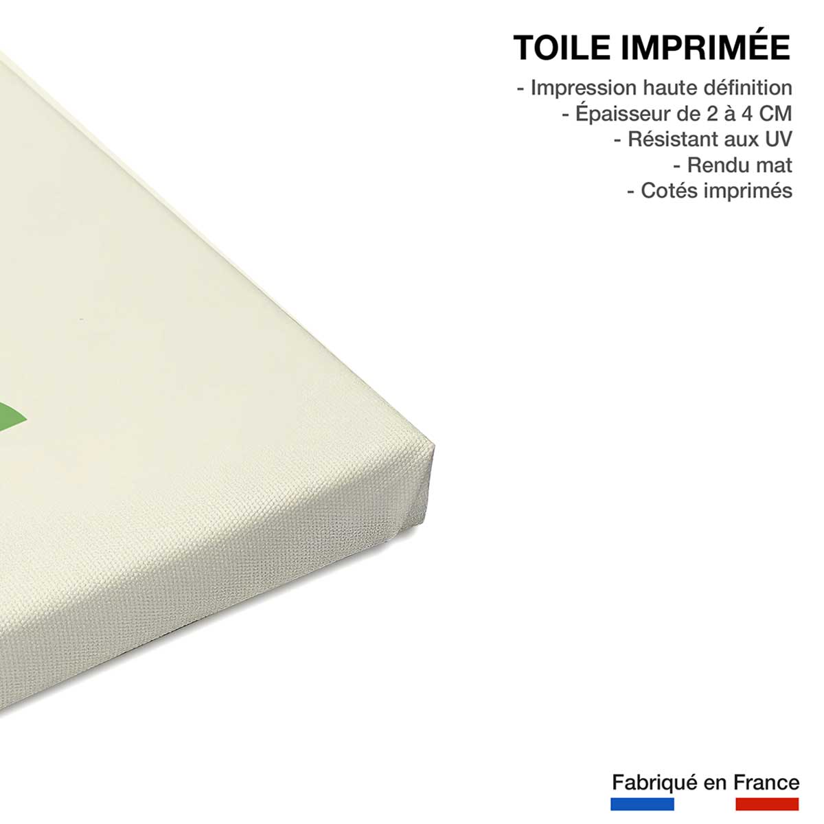 Tableau enfant rock croco toile imprimée, HEXOA