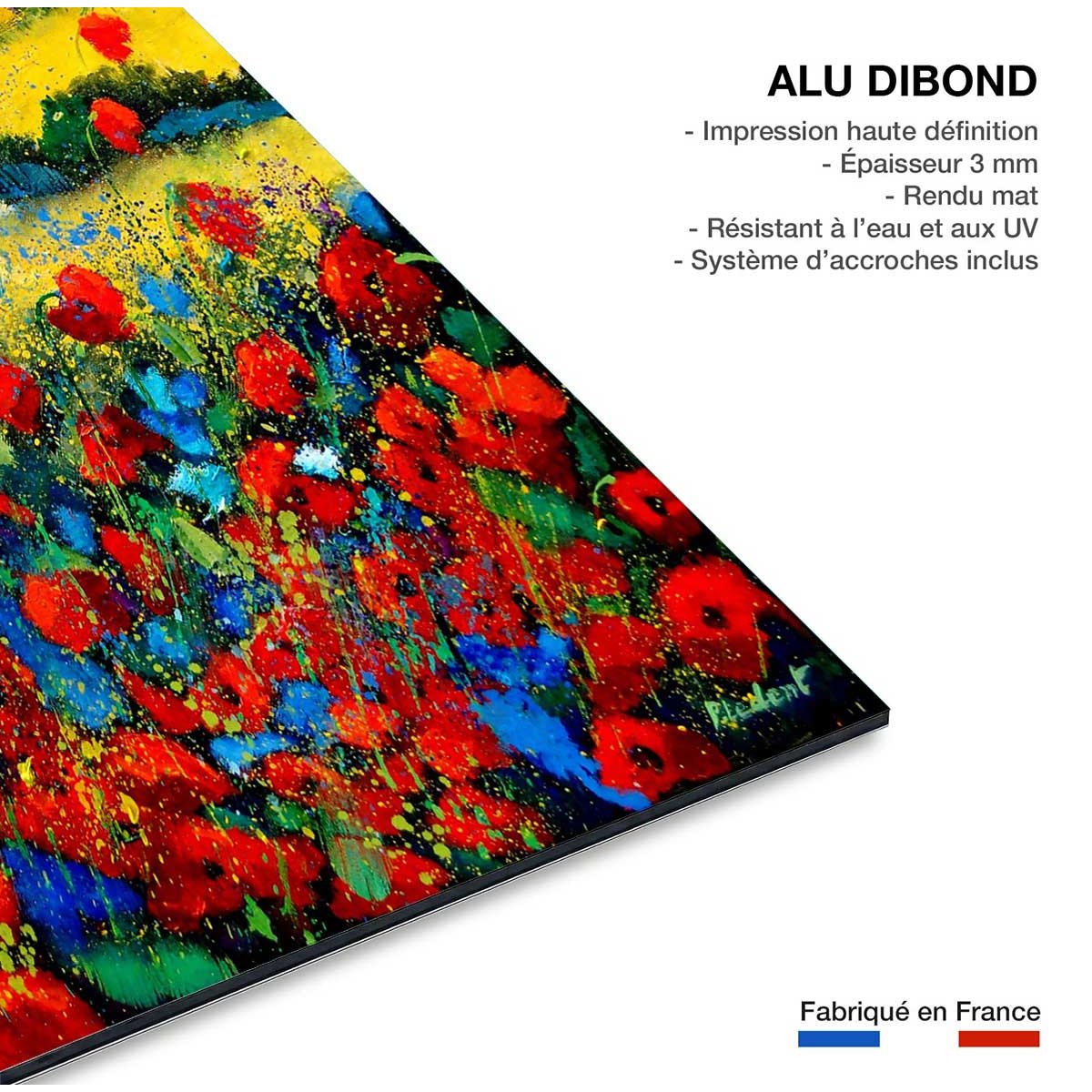 Tableau fleurs champ de coquelicot en provence tableau alu dibond, HEXOA