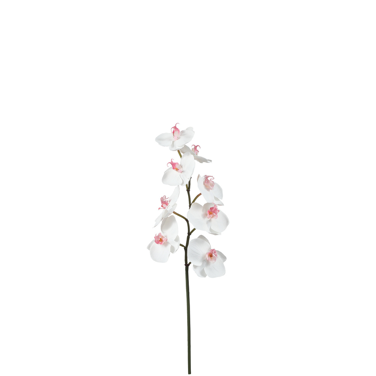 Tige d'orchidée phalaenopsis artificielle H50 blanc, SIA DECO