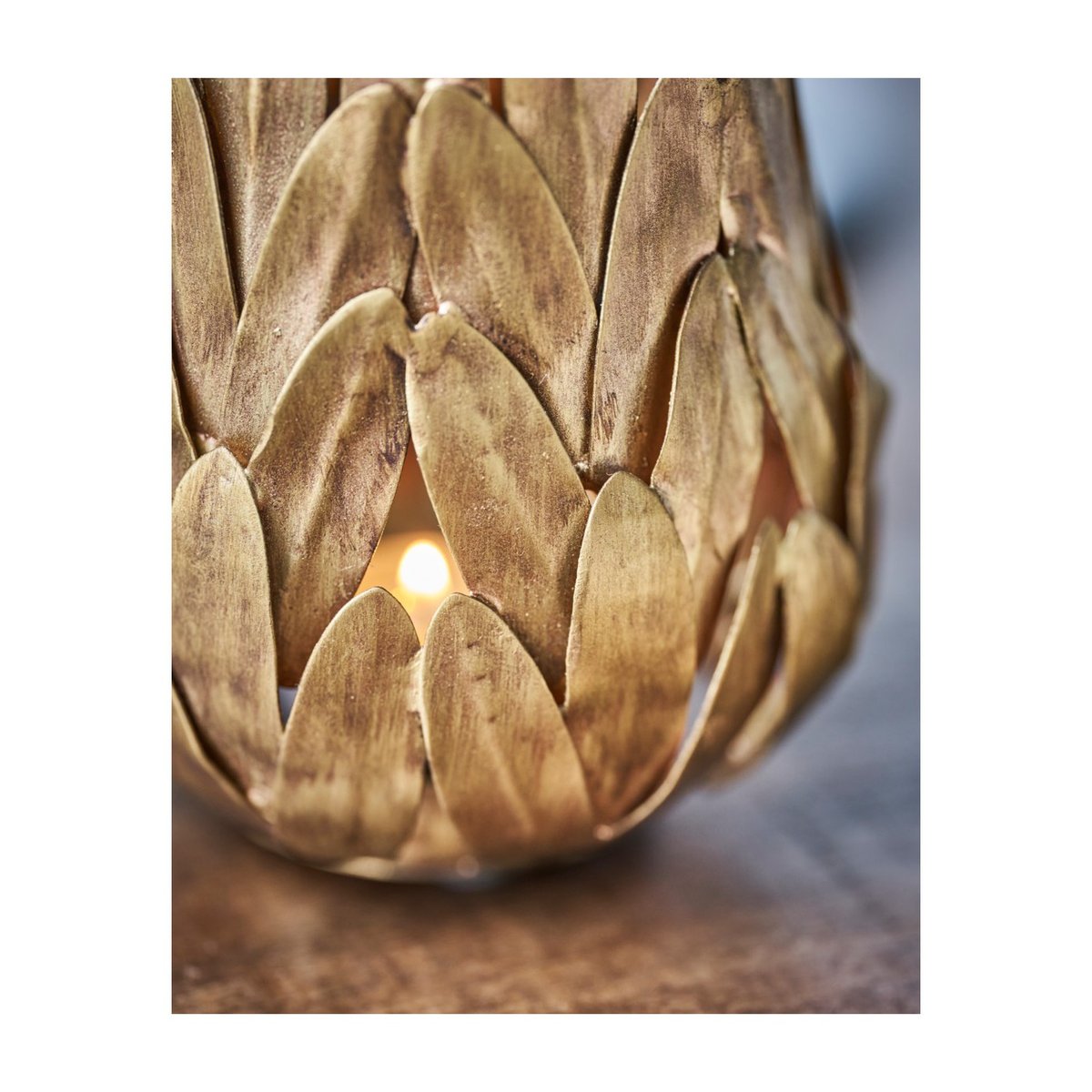 Photophore Luka doré, HOUSE DOCTOR
