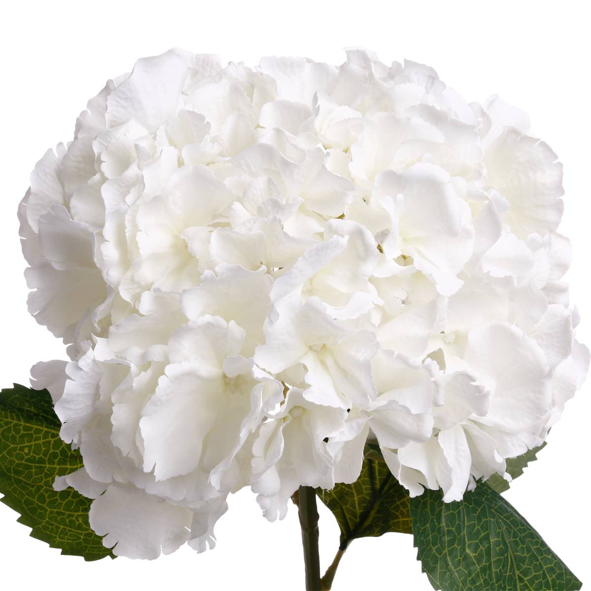 Tige d'hortensia artificiel blanc, ATMOSPHERA