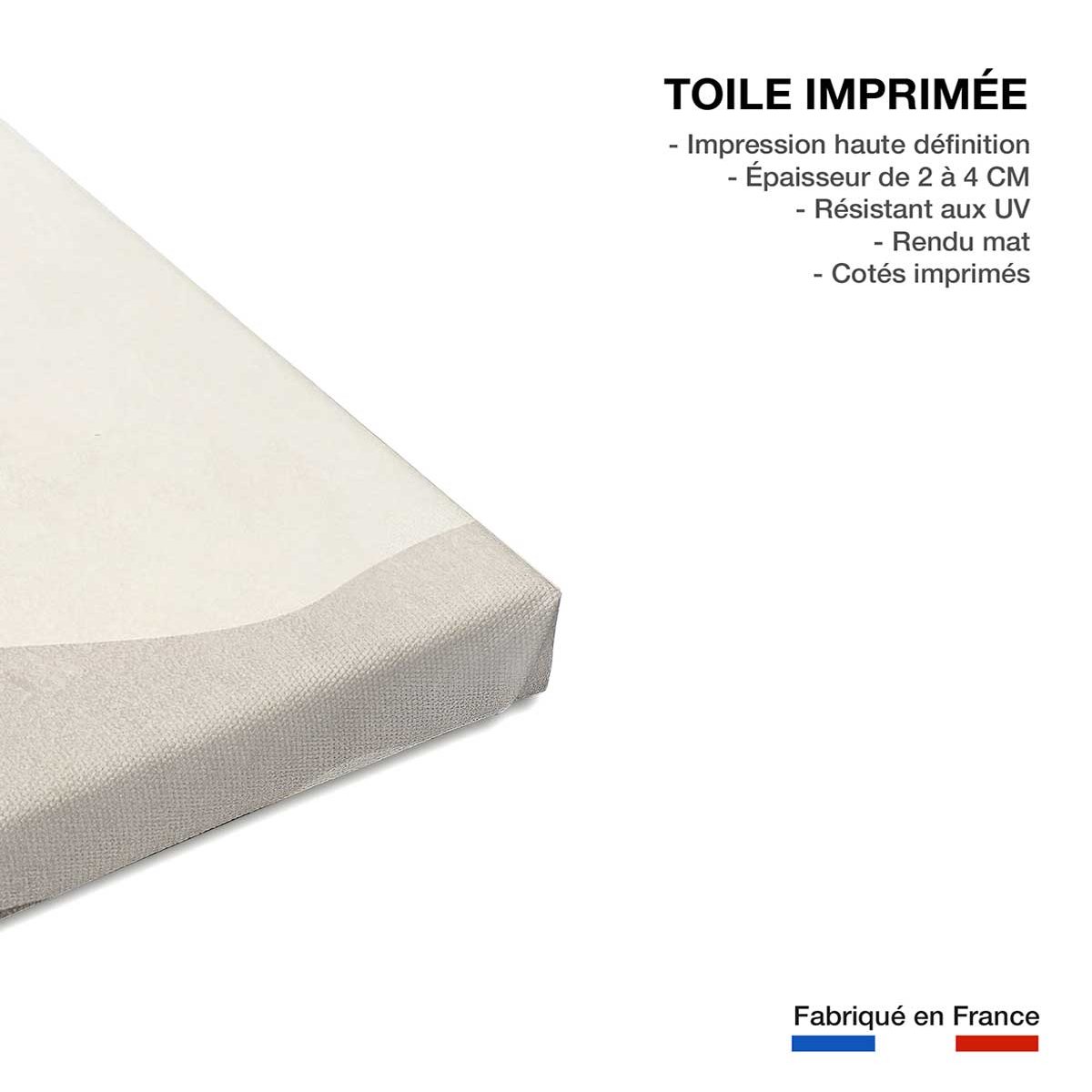 Tableau abstrait  pousse boho toile imprimée, HEXOA