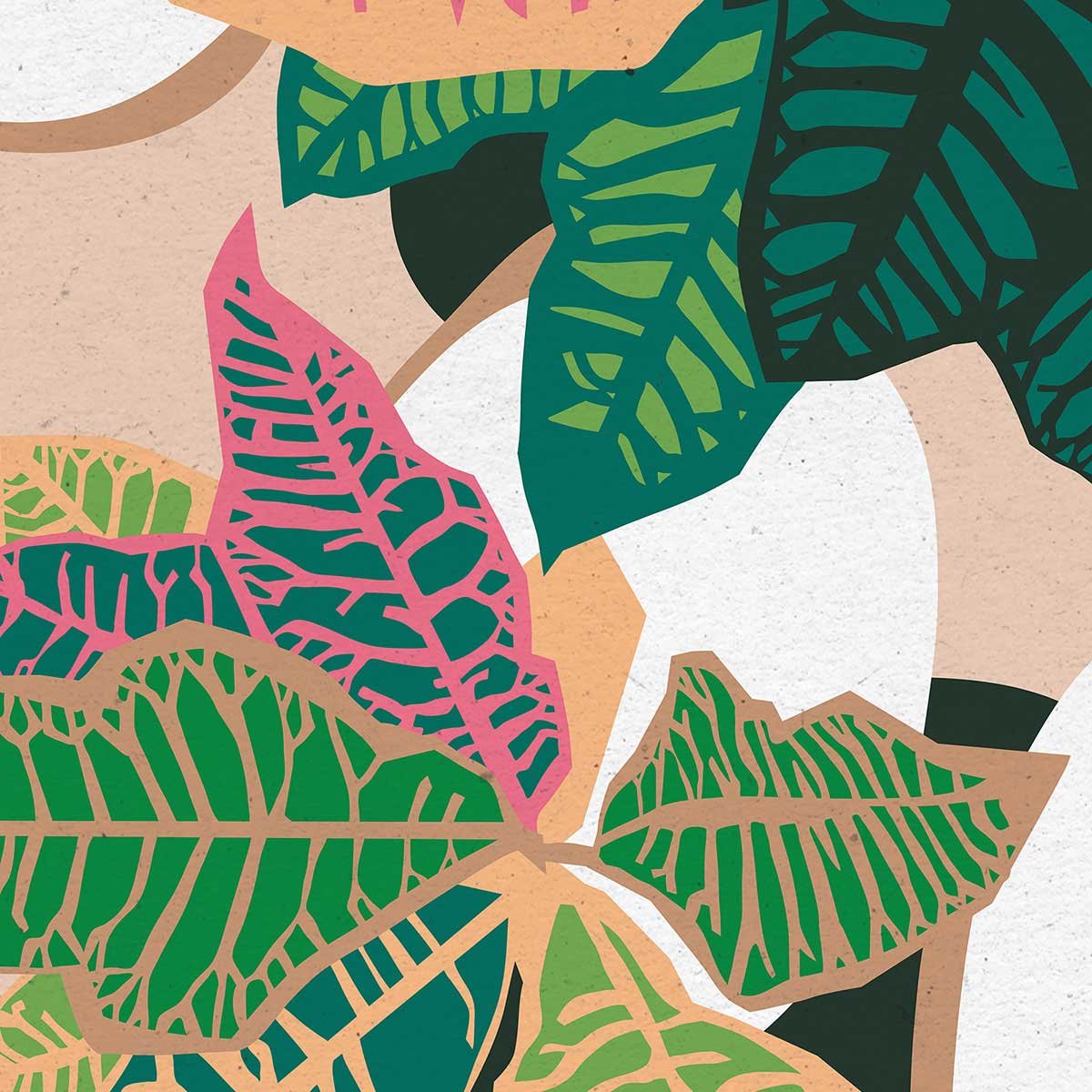 Poster colorful plants affiche + cadre en bois - noir, HEXOA