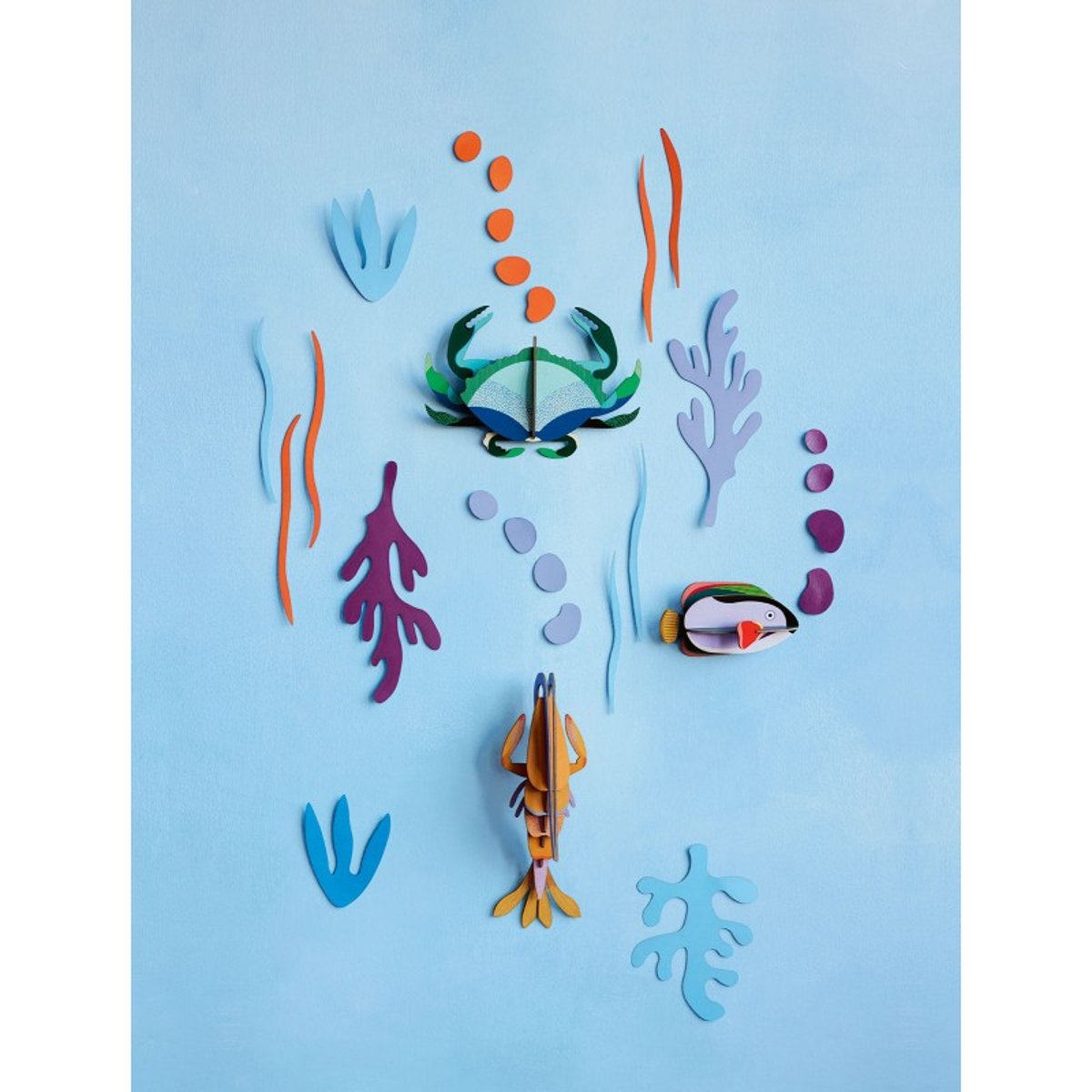Coffret monde marin  Ocean's Tale multicolore, STUDIO ROOF