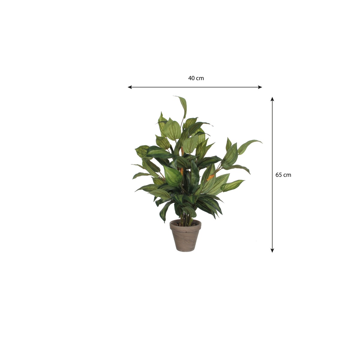 Plante artificielle HOSTA vert, MICA DECORATIONS