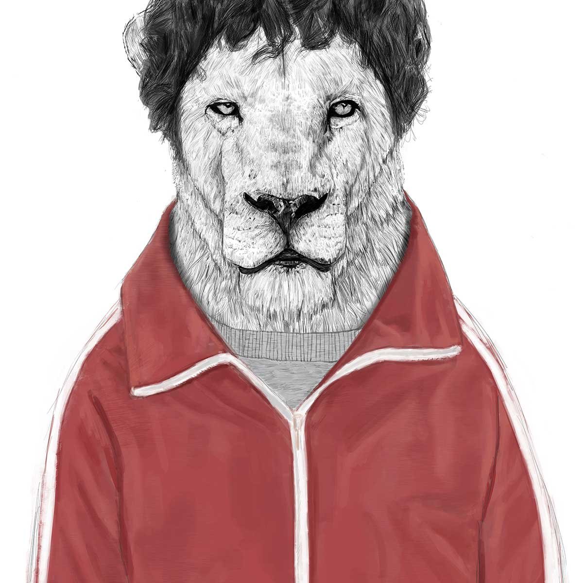 Affiche enfant lion affiche seule, HEXOA